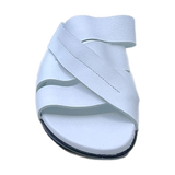Arche aurbha