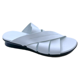 Arche aurbha
