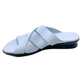 Arche aurbha