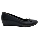 Women's Metallic Titan Wedge Ballet Shoes – Paul Green 3497